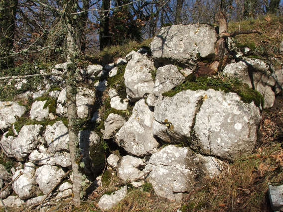 immagine delle mura di Santa Maria dei Vignali, nella Pentria